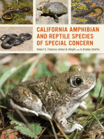 California Amphibian and Reptile Species of Special Concern