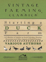 Starting a Duck Farm - A Collection of Articles on Stock Selection, Rearing, Economics and Other Aspects of Duck Farming