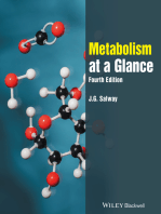 Metabolism at a Glance