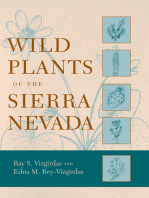 Wild Plants of the Sierra Nevada