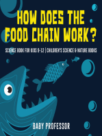 How Does the Food Chain Work? - Science Book for Kids 9-12 | Children's Science & Nature Books