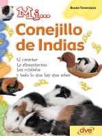 Mi... conejillo de indias: El carácter, la alimentación, los cuidados y todo lo que hay que saber