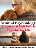 Animal Psychology - Discover Which Role it Plays in Our Life