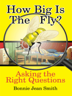 How Big Is the Fly?: Asking the Right Questions