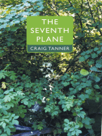 The Seventh Plane