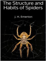 The Structure and Habits of Spiders