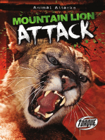 Mountain Lion Attack