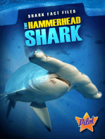 The Hammerhead Shark