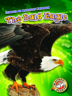 Bald Eagle, The