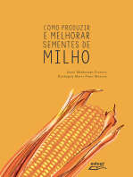 Como produzir e melhorar sementes de milho