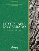 Fitoterapia do Cerrado: Sua Importância e Potencial