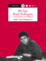 Mi hijo Raúl Pellegrin: Comandante José Miguel