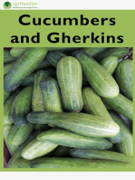 Cucumbers and Gherkins