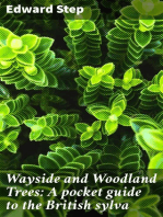 Wayside and Woodland Trees: A pocket guide to the British sylva