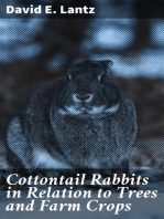 Cottontail Rabbits in Relation to Trees and Farm Crops