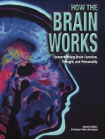 How The Brain Works: Understanding Brain Function, Thought and Personality