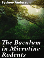 The Baculum in Microtine Rodents