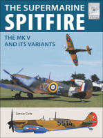 The Supermarine Spitfire MKV: The MK V and Its Variants