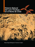 Historia natural del Loro Tricahue en el norte de Chile