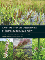 A Guide to Moist-Soil Wetland Plants of the Mississippi Alluvial Valley