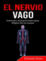 El Nervio Vago