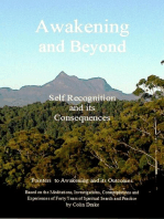 Awakening and Beyond - Self Recognition and Its Consequences