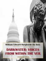 Darkwater: Voices from Within the Veil