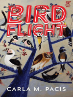 Birdfllight