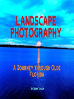 Landscape Photography: A Journey Through Olde Florida