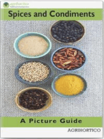 Spices and Condiments: A Picture Guide