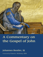 A Commentary on the Gospel of John