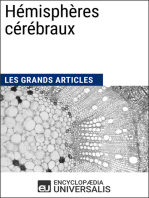 Hémisphères cérébraux: Les Grands Articles d'Universalis