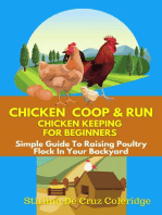 Chicken Coop & Run Chicken Keeping For Beginners