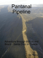 Pantanal Pipeline: Adventure Across Bolivia and Brazil