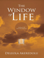 The Window of Life: Looking at Life from God’S Perspective