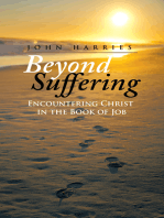 Beyond Suffering: Encountering Christ in the Book of Job