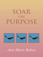 Soar on Purpose