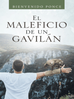 El Maleficio De Un Gavilán