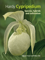 Hardy Cypripedium: Species, Hybrids and Cultivation