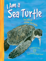 I Am a Sea Turtle: The Life of a Green Sea Turtle