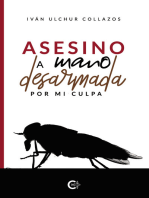 Asesino a mano desarmada: Por mi culpa