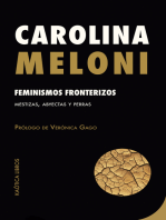 Feminismos fronterizos: Mestizas, abyectas y perras