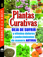 Plantas curativas