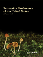 Psilocybin Mushrooms of The United States: A Visual Guide