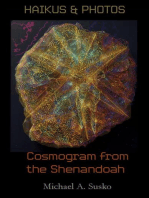 Haikus and Photos: Cosmogram from the Shenandoah: Shenandoan Stone: Haikus & Photos, #1