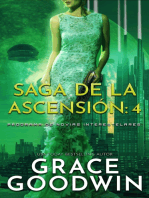 Saga de la ascensión: 4