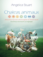 Chakras animaux: Découvrez ce qui vous unit à la sagesse du monde naturel