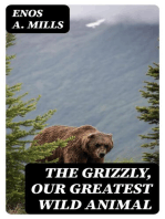 The Grizzly, Our Greatest Wild Animal