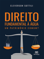 Direito fundamental à água: um patrimônio comum?