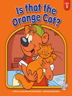 Is That the Orange Cat?